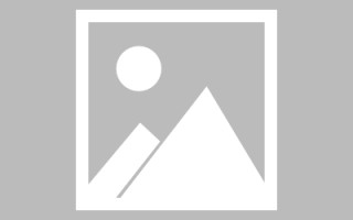 陈松伶主演电视剧大全，陈松伶主演电视剧大全最新